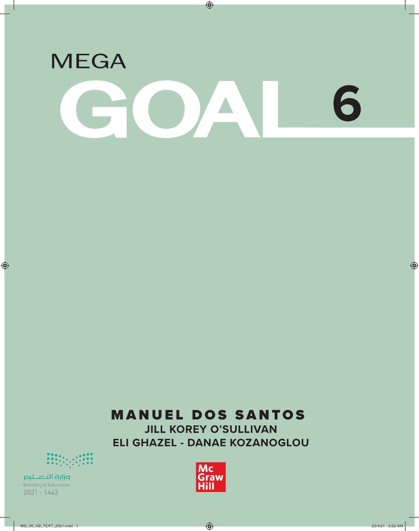Mega goal 6