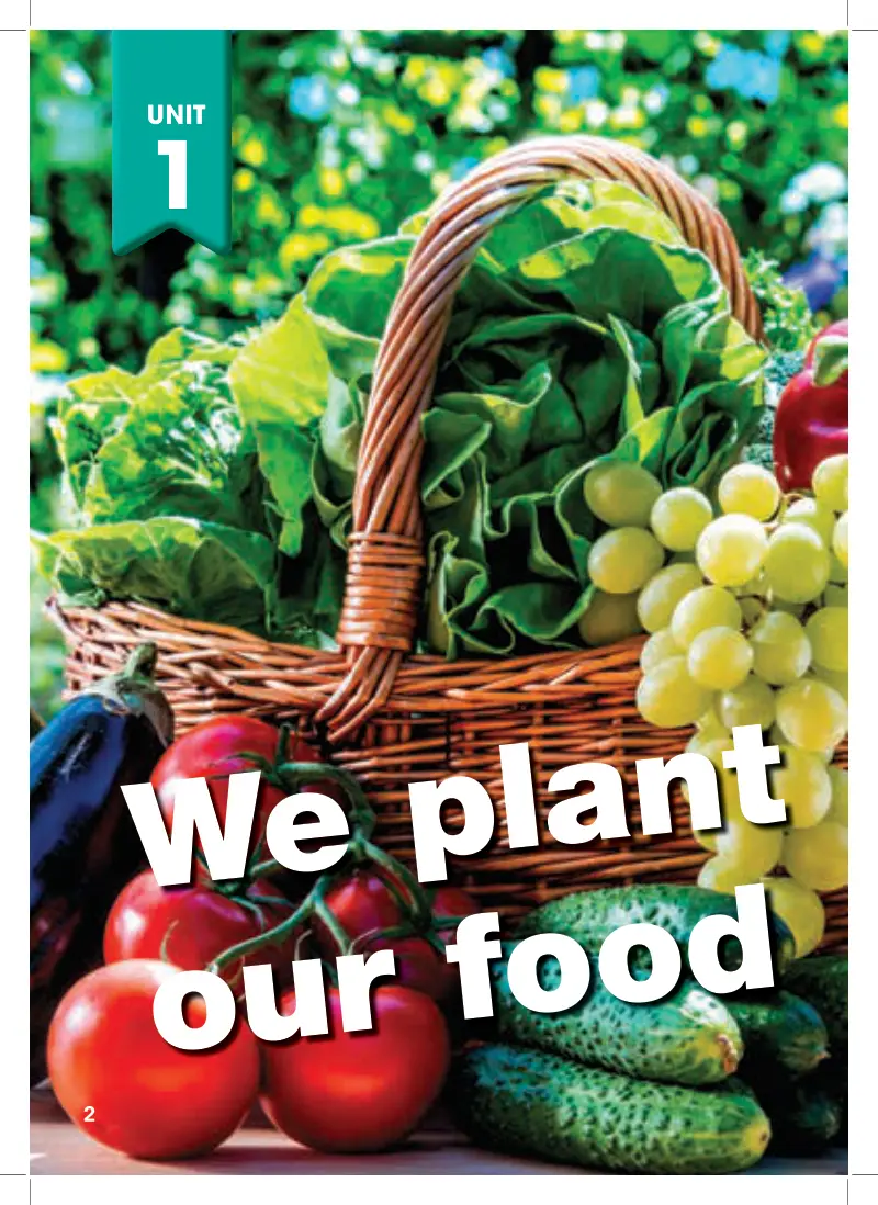we plant our food