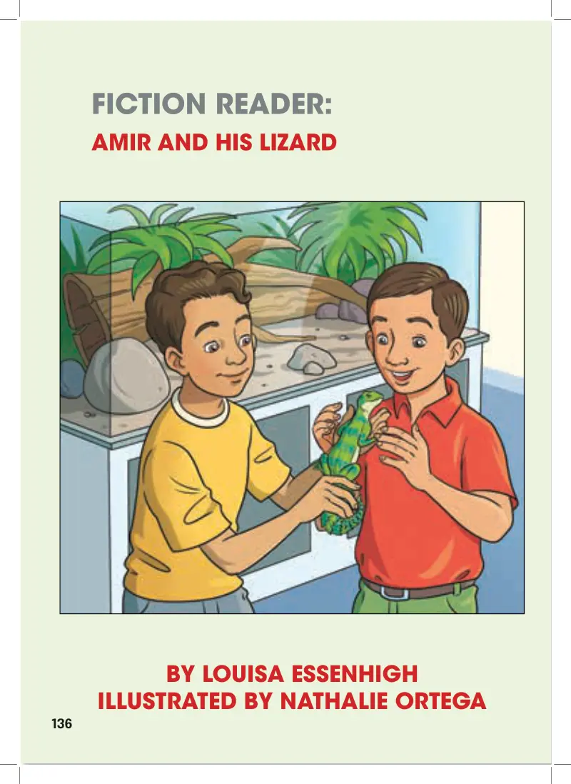 fiction reader: amir and his lizard