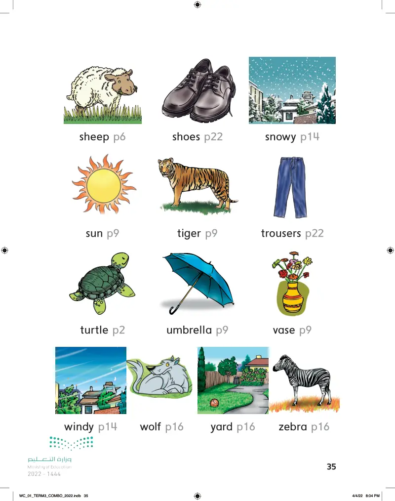 Picture Dictionary