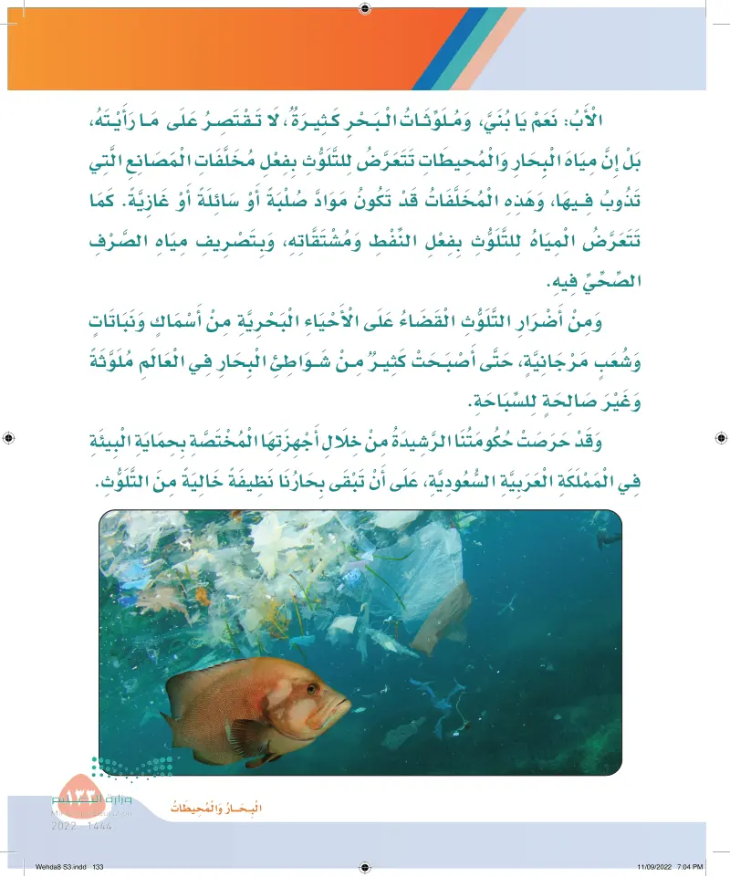 الدرس الثاني: نظافة البحار والمحيطات