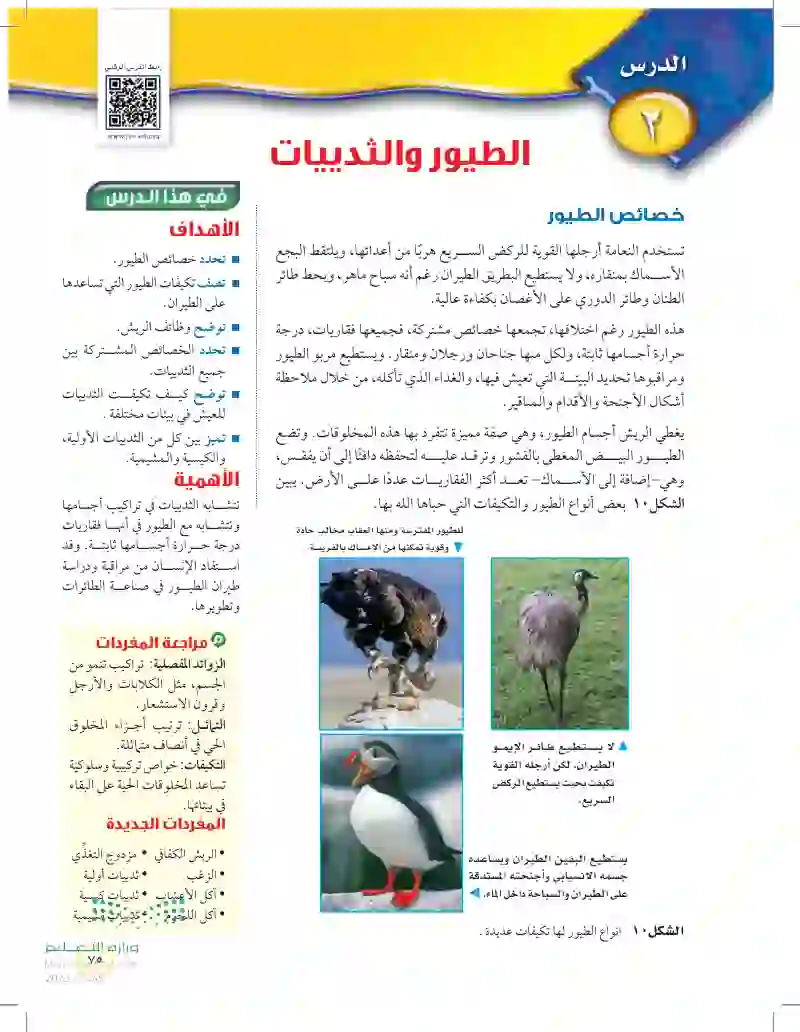 الدرس2: الطيور والثدييات