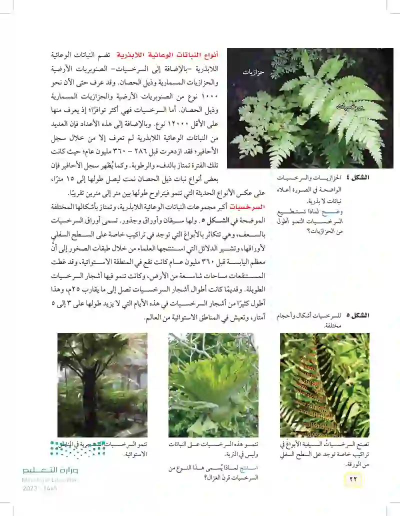 الدرس1: النباتات اللابذرية