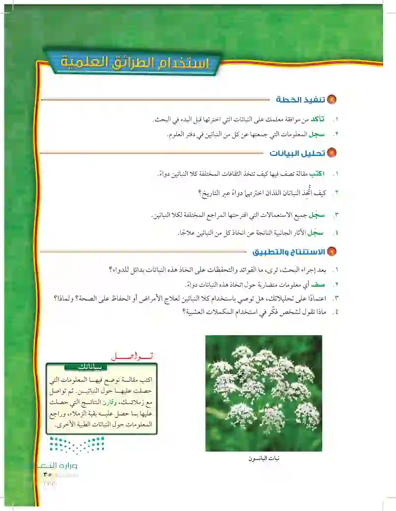 الدرس2: النباتات البذرية