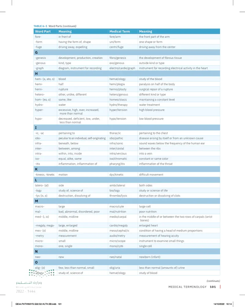 MEDICAL TERMINOLOGY