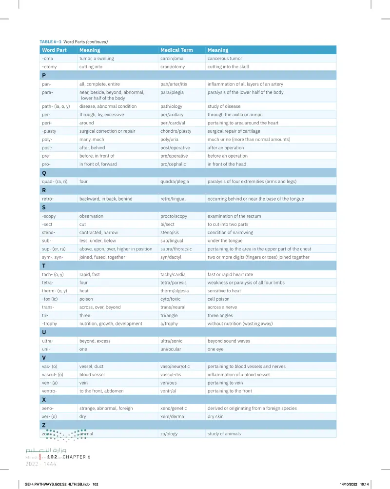 MEDICAL TERMINOLOGY