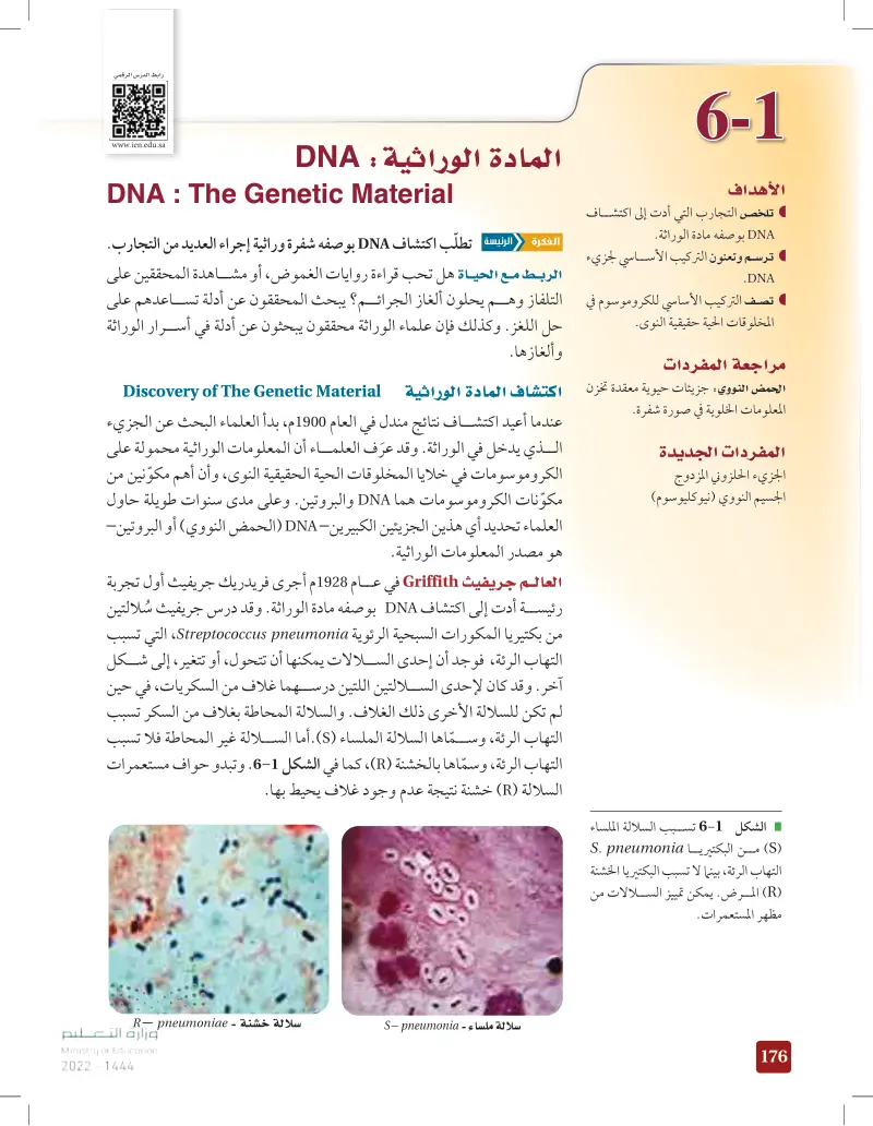 6-1 المادة الوراثية: DNA