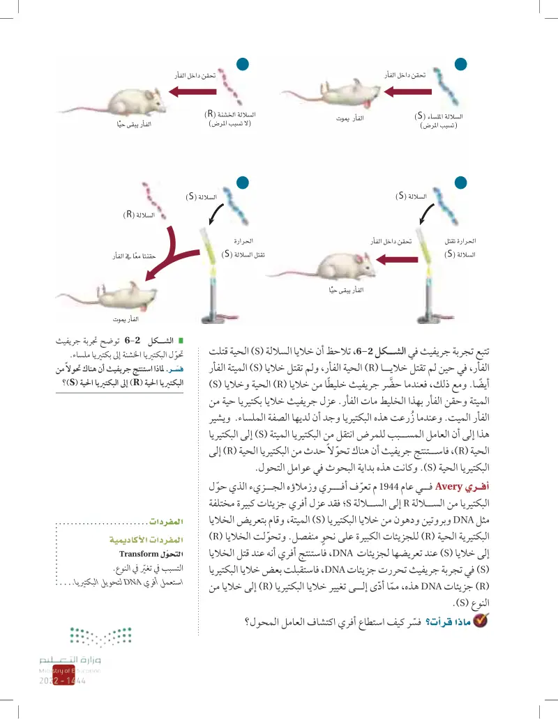 6-1 المادة الوراثية: DNA