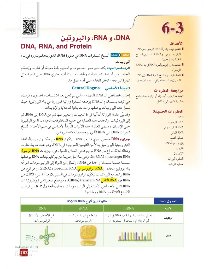 DNA 6-3 و RNA ، والبروتين