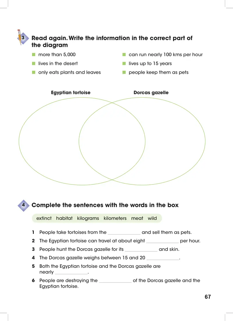 Self-Assessment