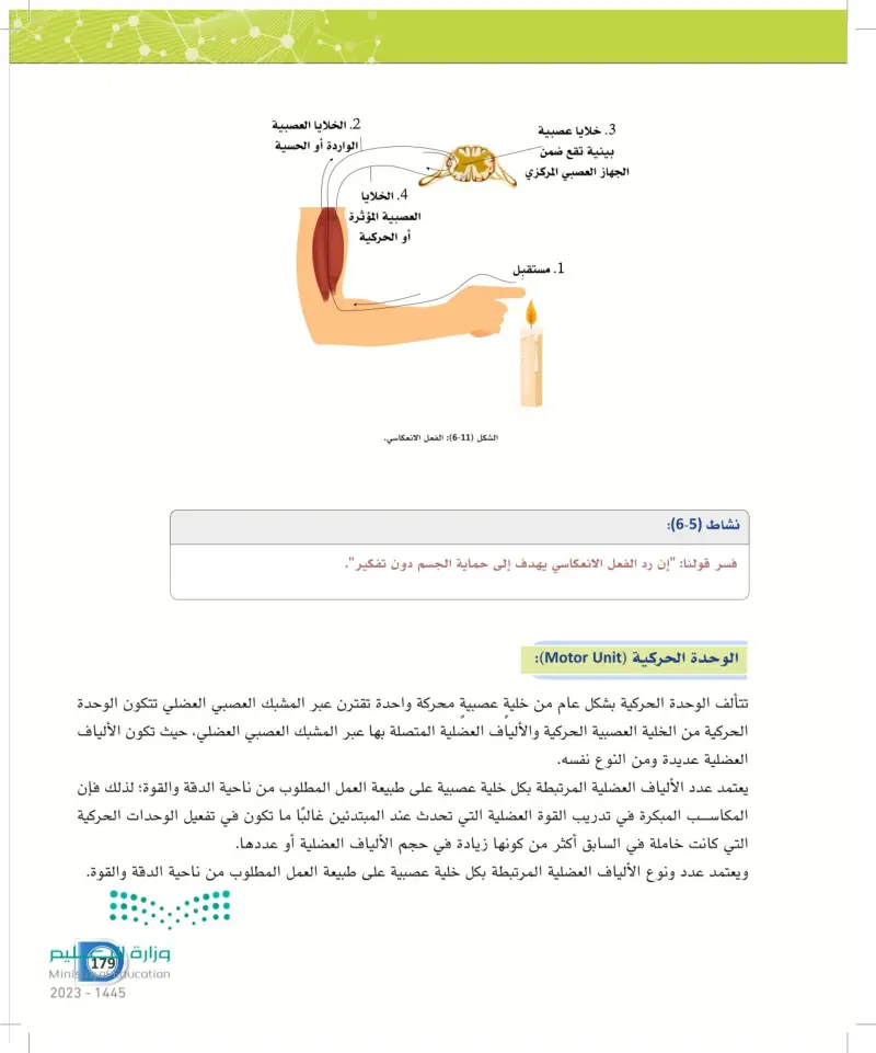 6-4 وظائف الجهاز العصبي