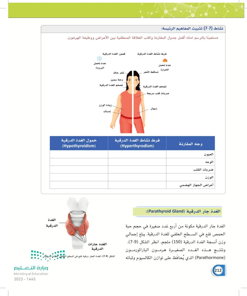 7-3 الغدة الدرقية وجار الدرقية والصنوبرية