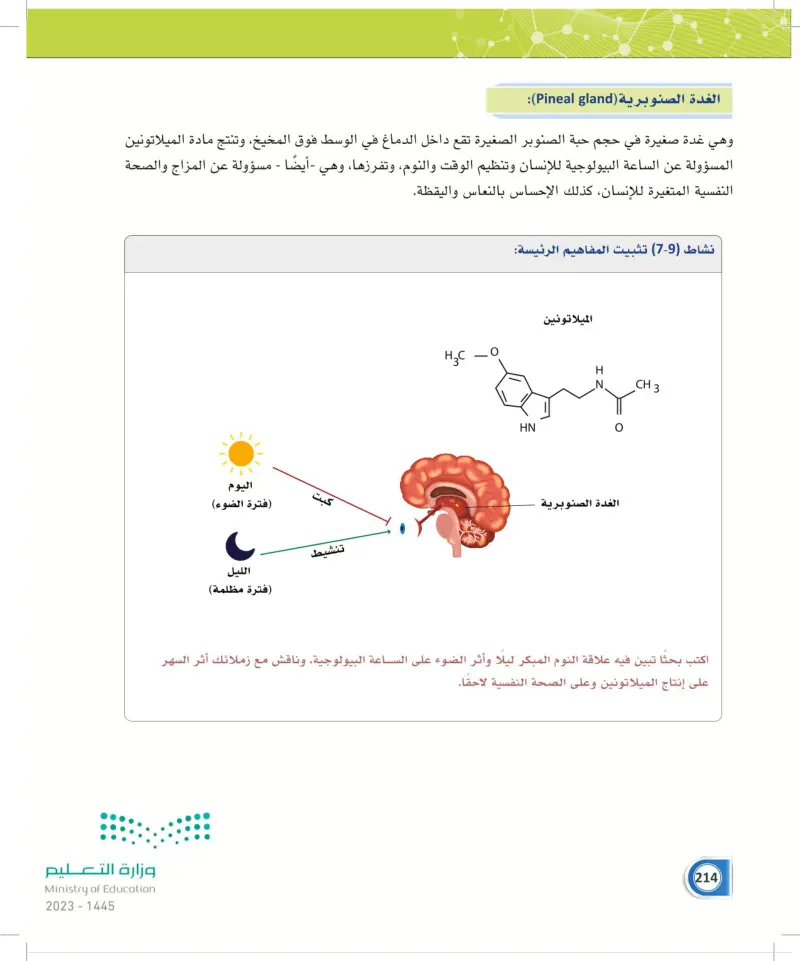 7-3 الغدة الدرقية وجار الدرقية والصنوبرية