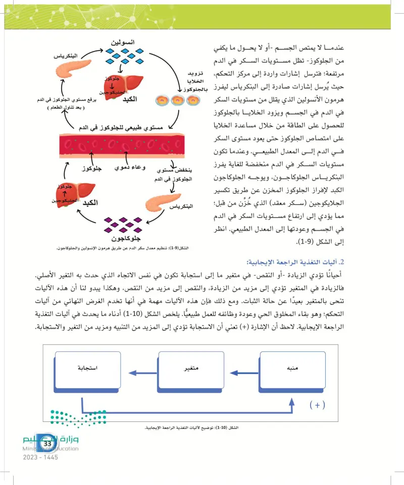 1-3 آليات التحكم بالثبات الداخلي