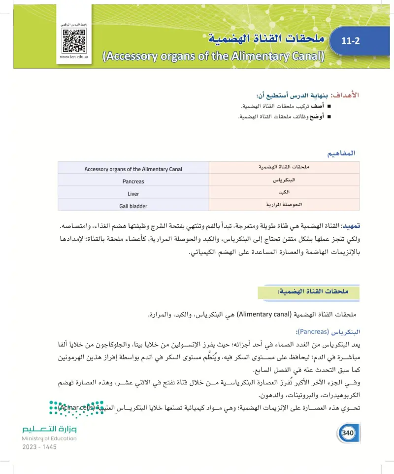 11-2 ملحقات القناة الهضمية