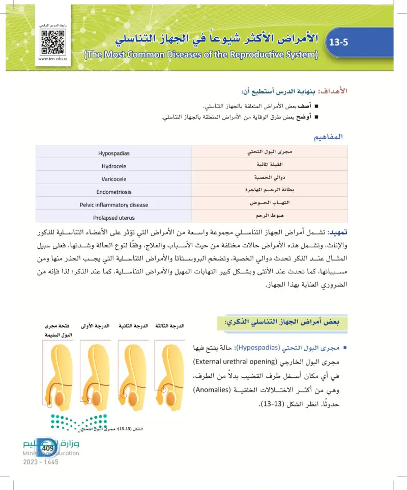 13-5 الأمراض الأكثر شيوعاً في الجهاز التناسلي