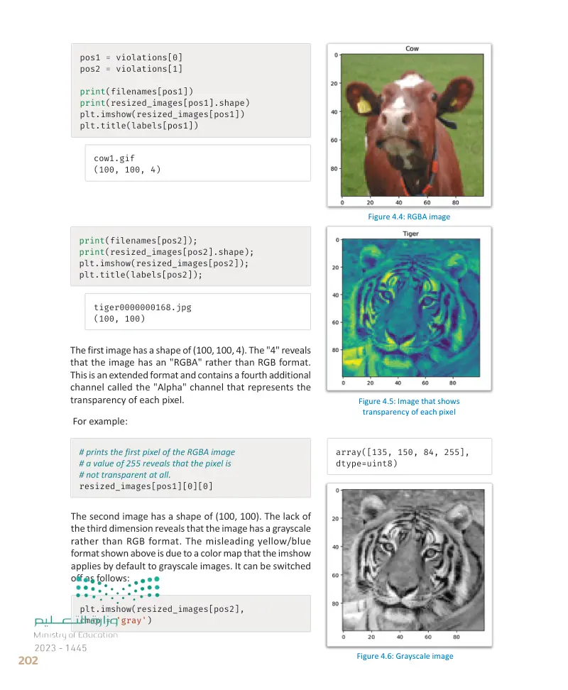 Lesson 1 Supervised Learning for Image Analysis