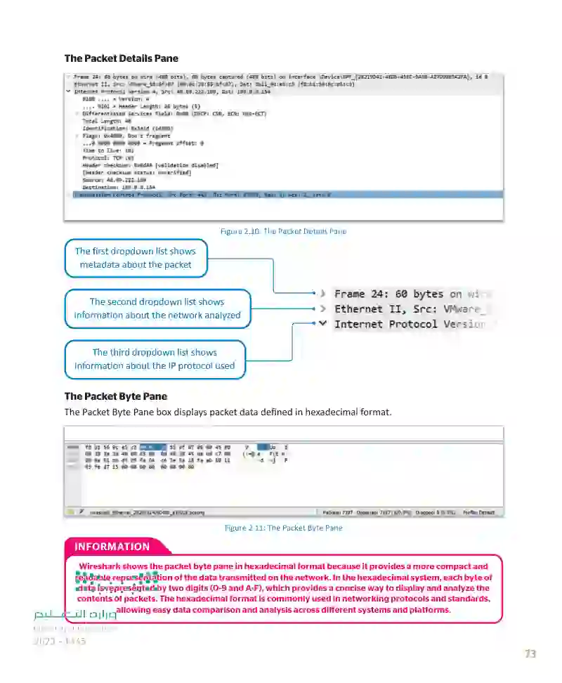 Lesson 2 Network and Web Security