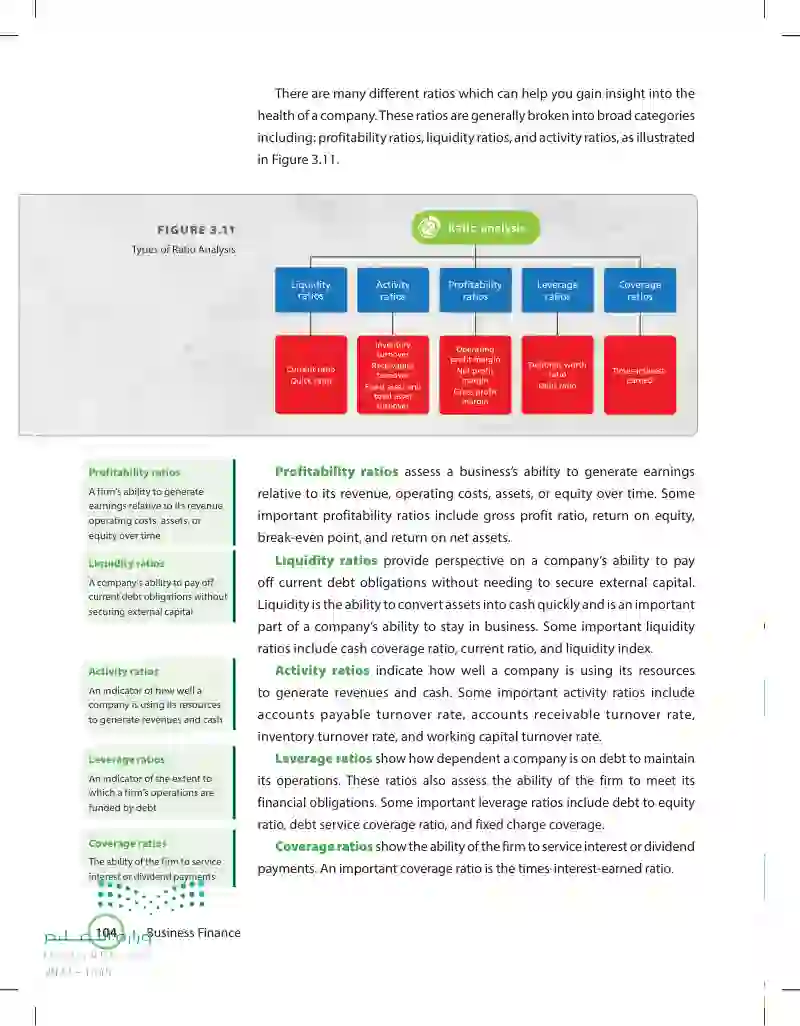 3.5 Financial Statement Analysis