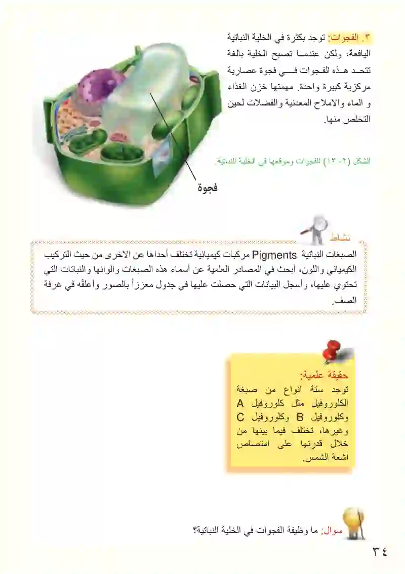 الدرس الثاني: الخلية النباتية والخلية الحيوانية