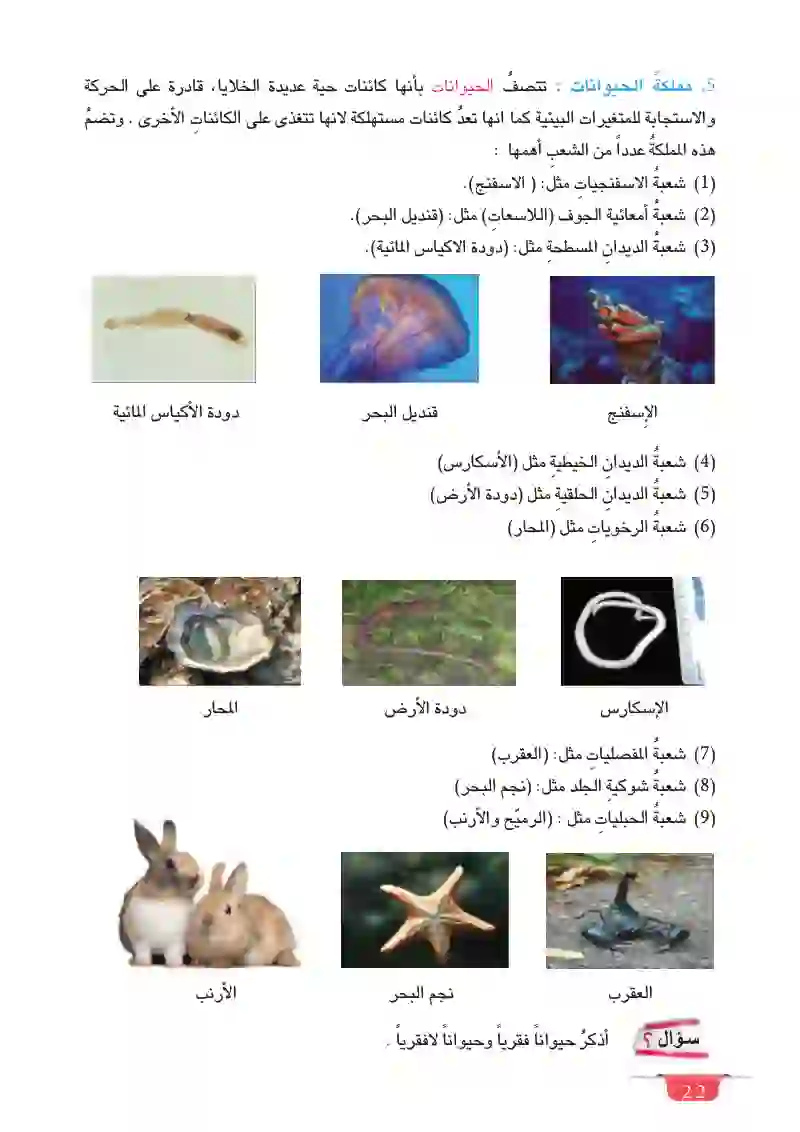 الدرس الثاني: ممالك الكائنات الحية