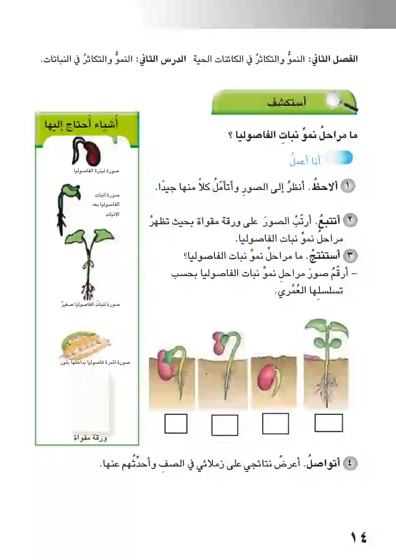 الدرس الثاني: النمو والتكاثر في النباتات