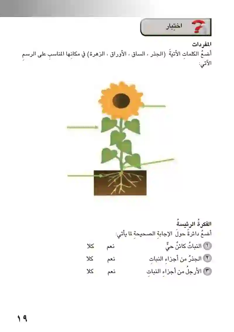 الدرس الأول: أجزاء النباتات