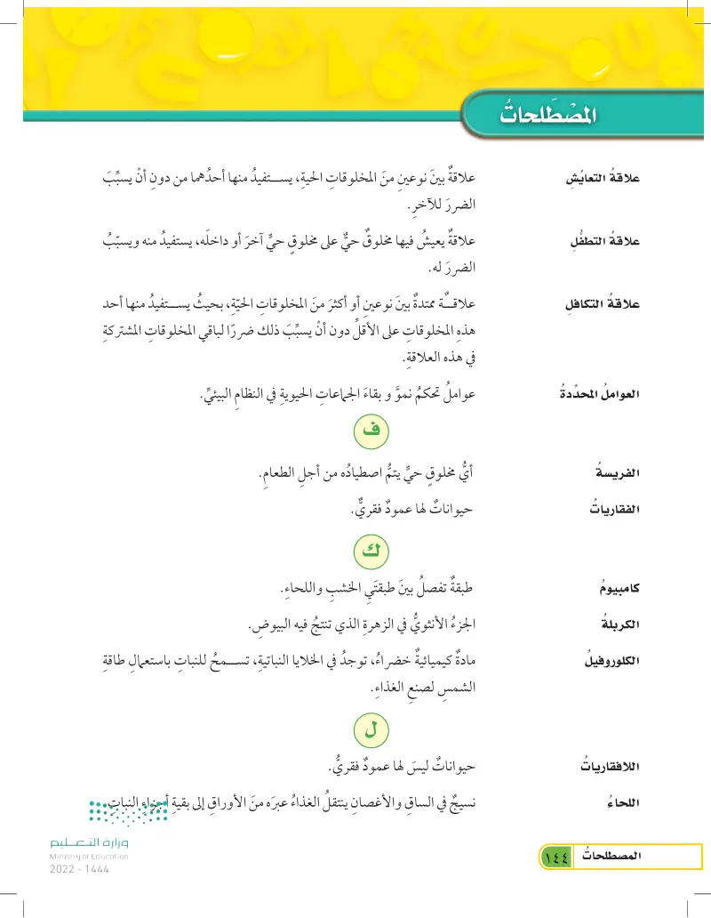 المصطلحات