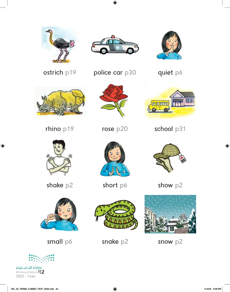 Picture Dictionary