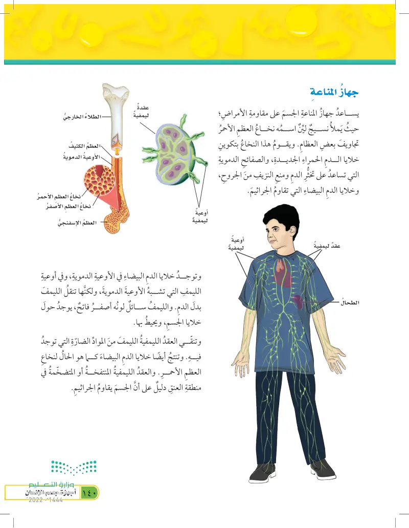 مرجعيات الطالب