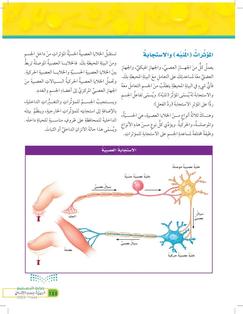 مرجعيات الطالب