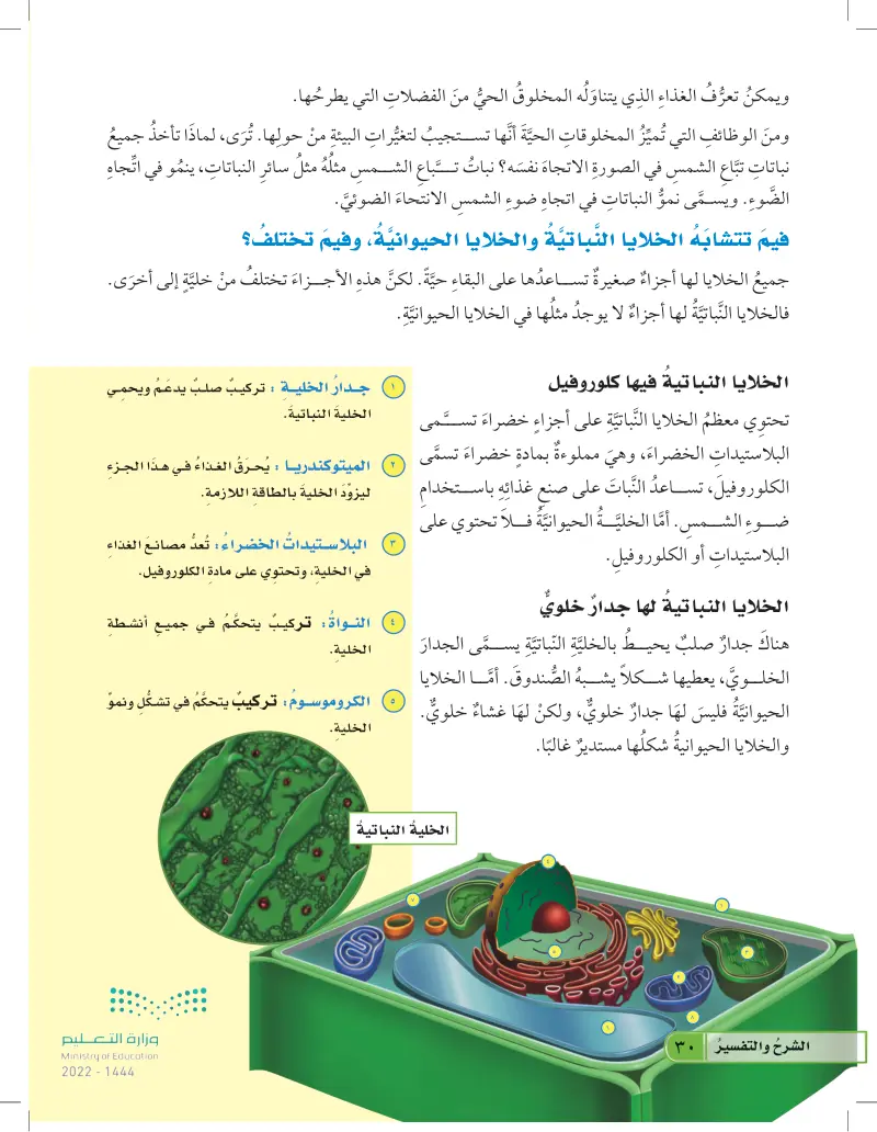 الخلايا - العلوم 1 - رابع ابتدائي - المنهج السعودي