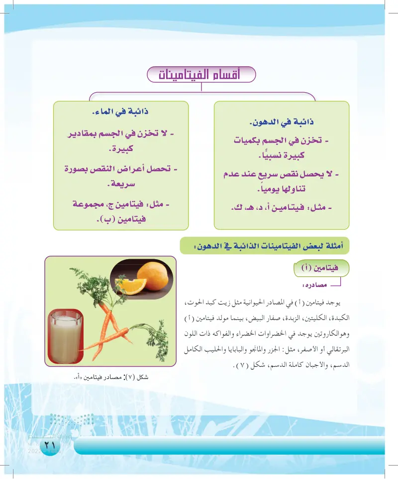 الغذاء