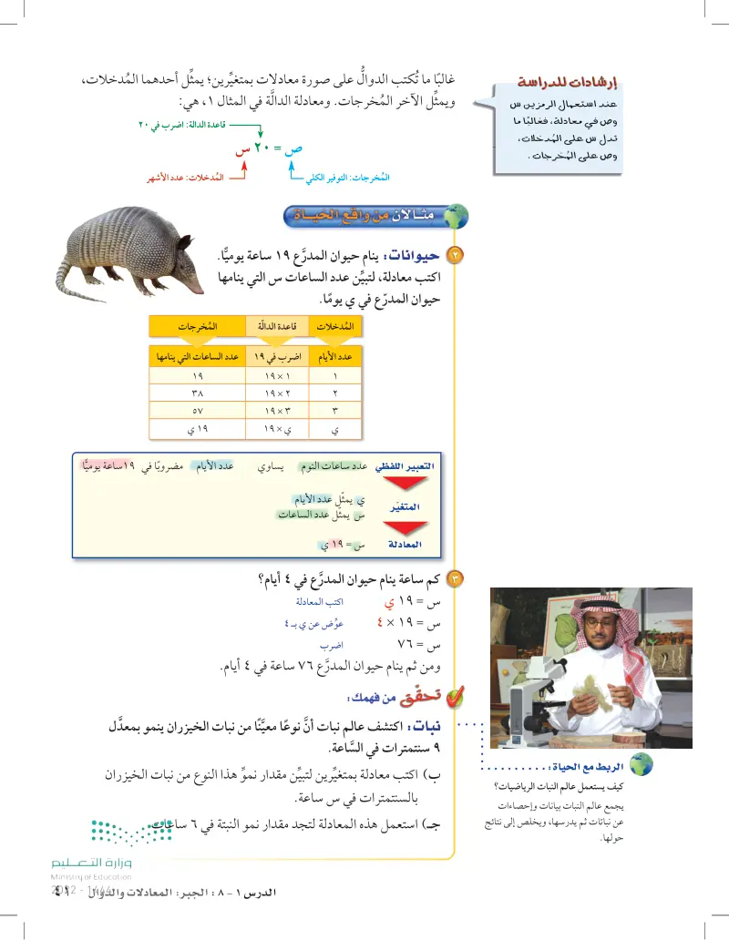 1-8 الجبر: المعادلات والدوال