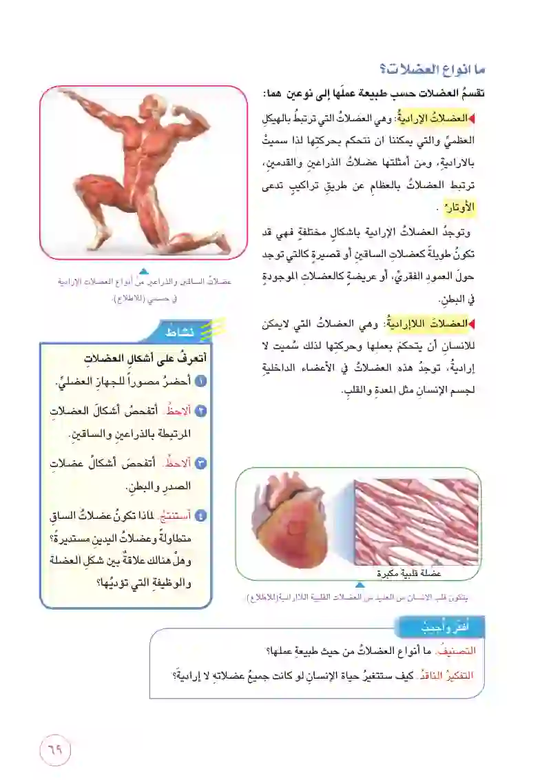 الدرس الثالث: الجهاز العضلي وصحته