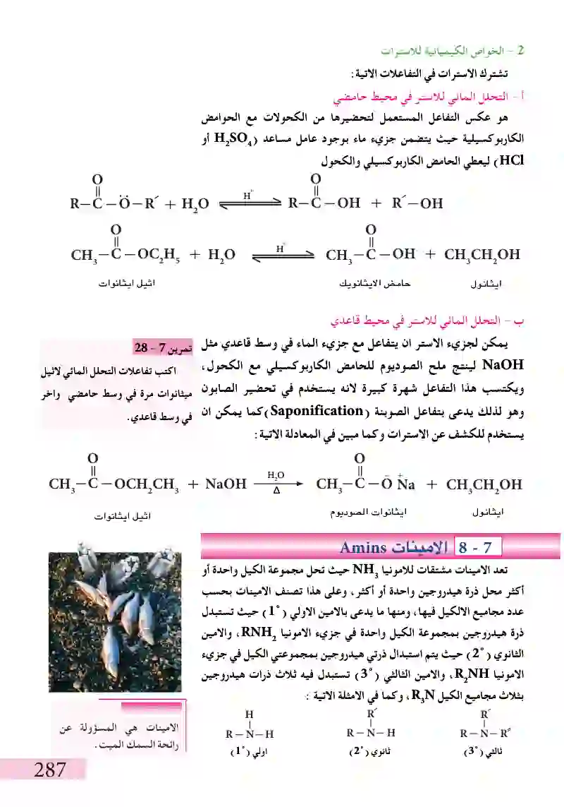 7-7الاسترات