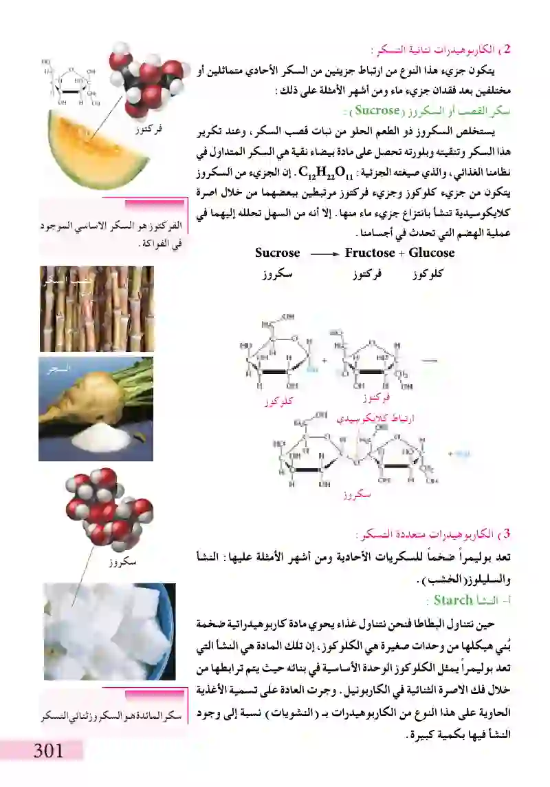 8-2الكاربوهيدرات