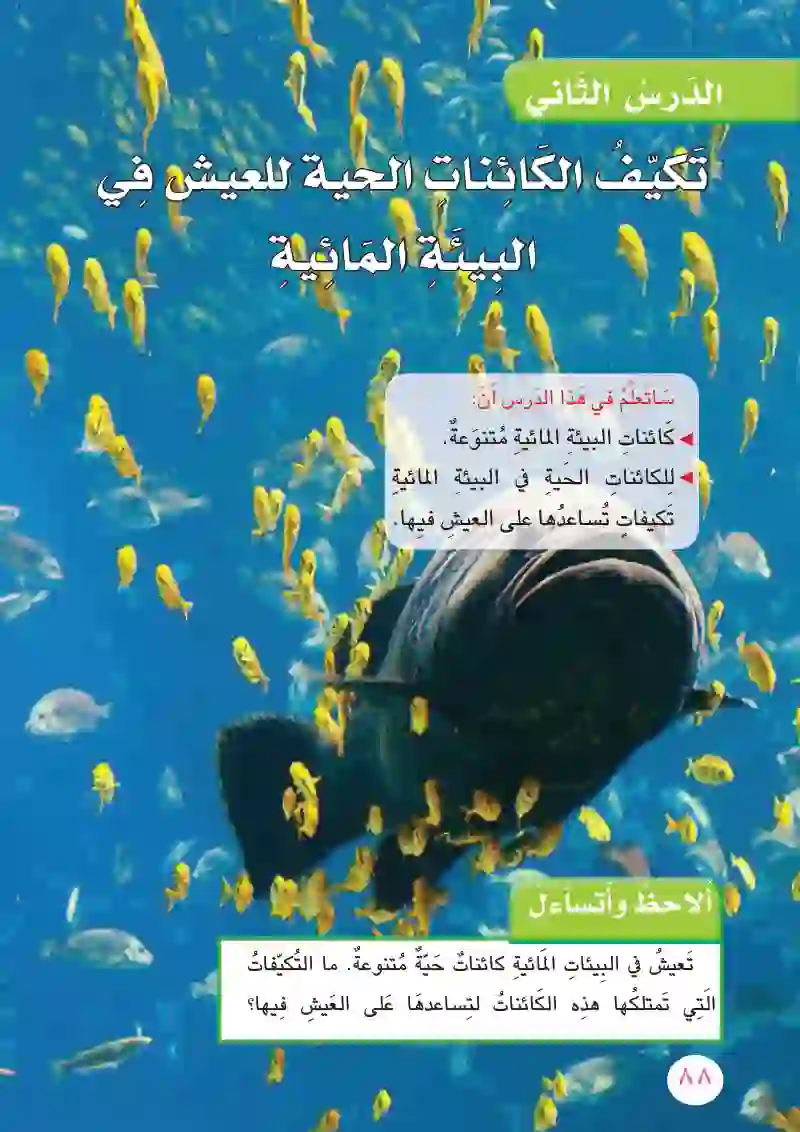 الدرس الثاني: تكيف الكائنات الحية للعيش في البيئة المائية