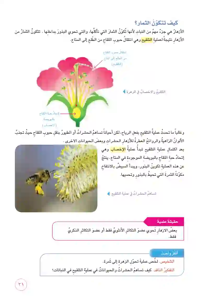 الدرس1: النباتات الزهرية