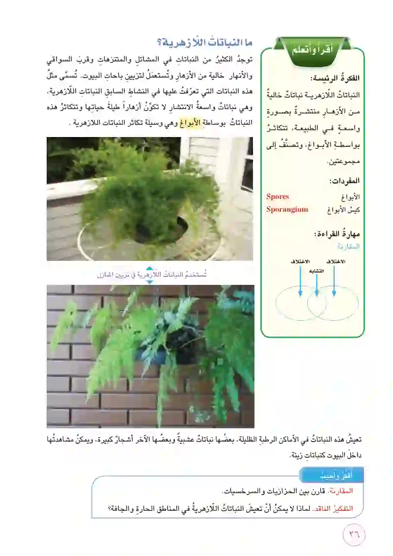 الدرس2: النباتات اللازهرية