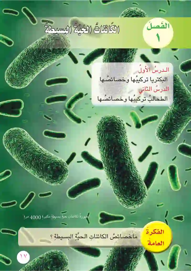الدرس الأول: البكتريا تركيبها وخصائصها