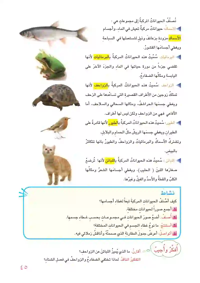 الدرس الثاني: الحيوانات المركبة