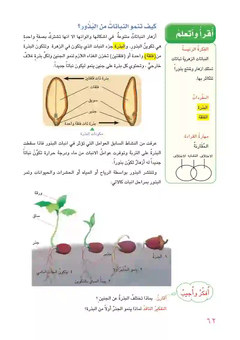 الدرس الثاني: دورات حياة النباتات الزهرية