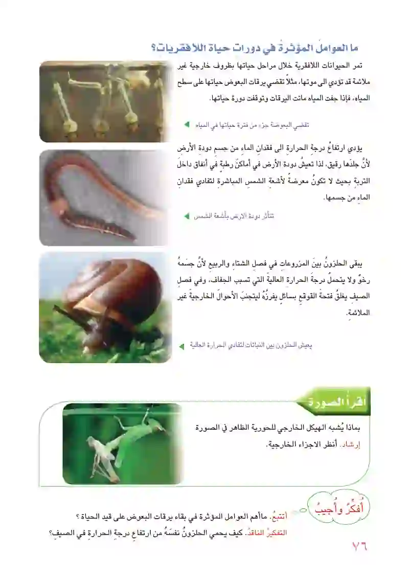 الدرس الأول: دورة حياة الحيوانات اللافقارية