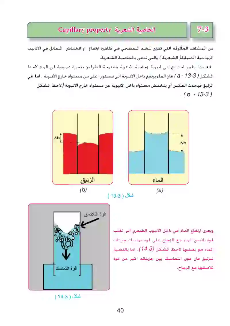 7-3: الخاصية الشعرية