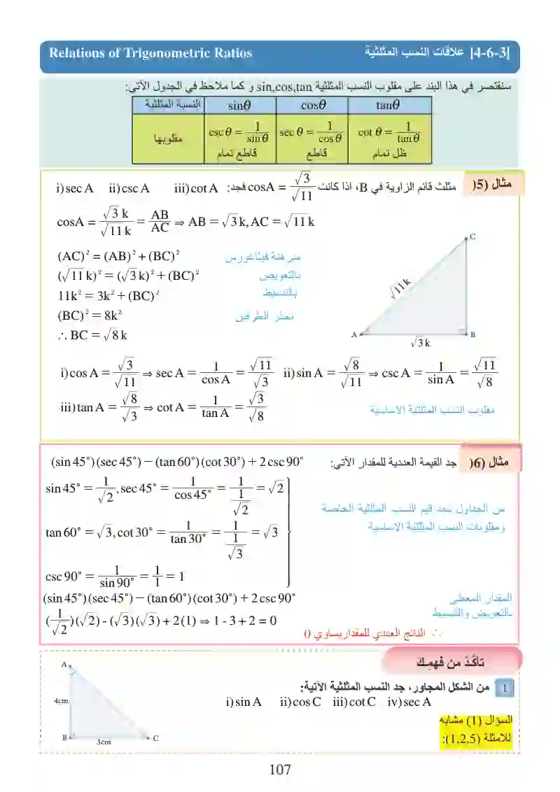 الدرس6-4: النسب المثلثية