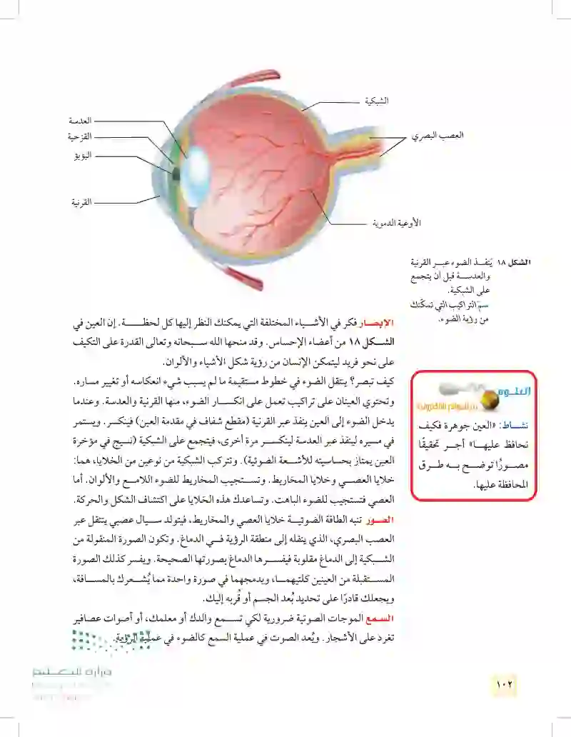 الدرس2: الجهاز الهيكلي والجهاز العصبي