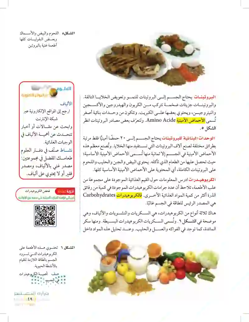 الدرس1: الجهاز الهضمي والمواد الغذائية