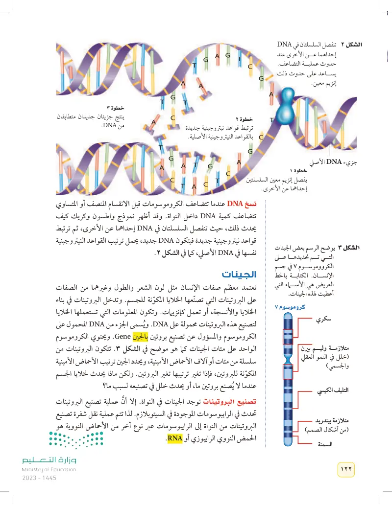 الدرس1: مادة الوراثة DNA