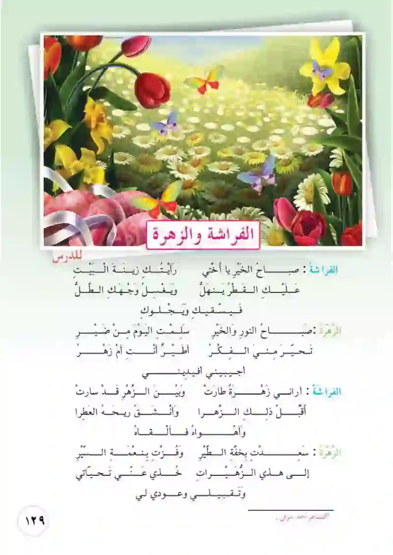 الفراشة والزهرة